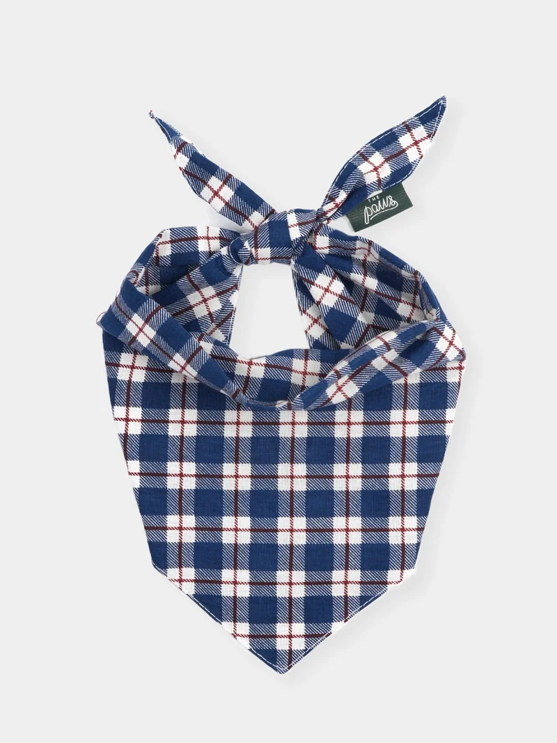 Bandana pour chien - Winter - The Paws