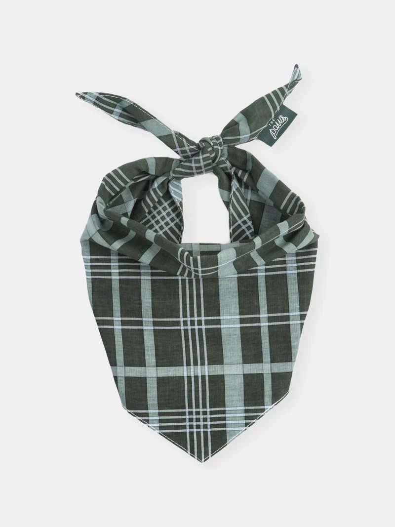 Bandana pour chien - Pine Winter - The Paws
