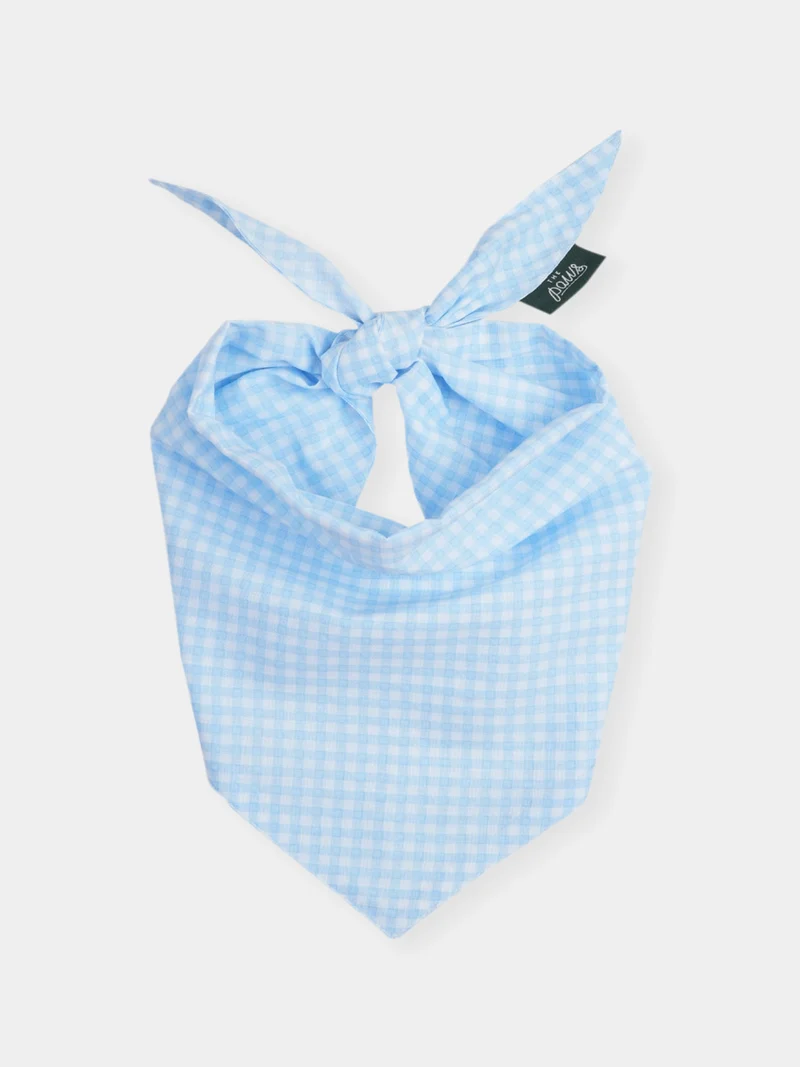 Bandana pour chien - Gingham Baby Blue - The Paws