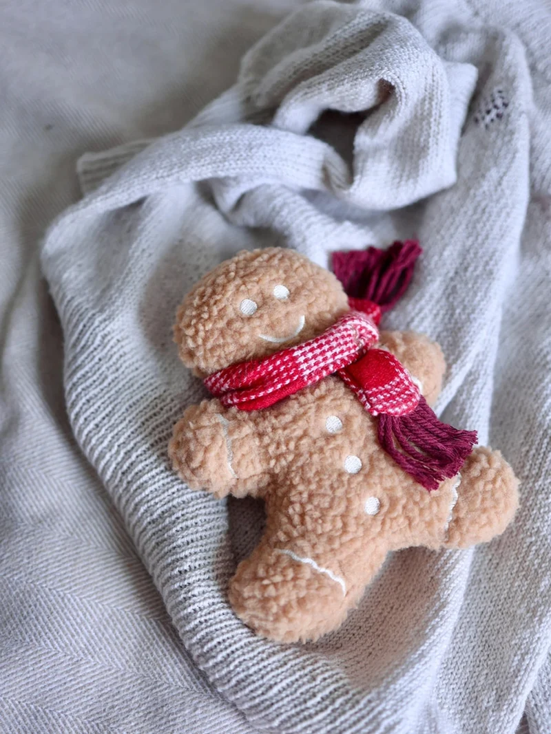 Jouet en peluche pour chien - Pain Epice 🎁 - Lambwolf Collective