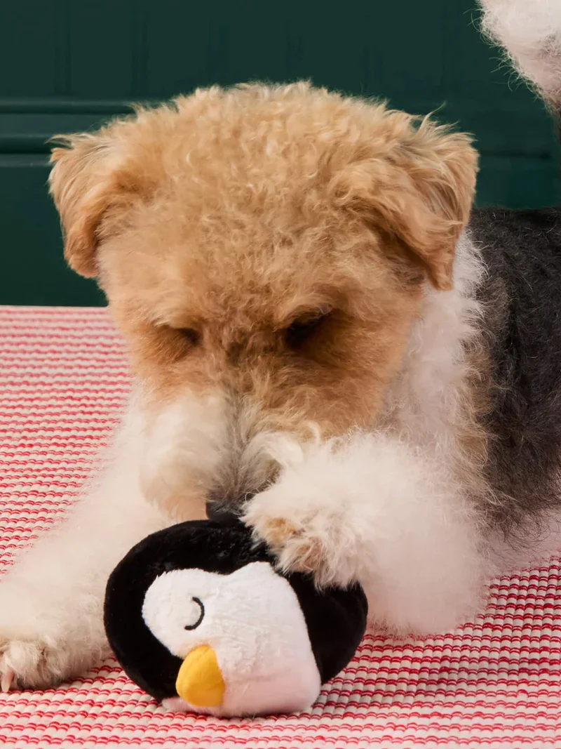 Peluche de Noël pour chien - Pingouin 🐧 - The Foggy Dog
