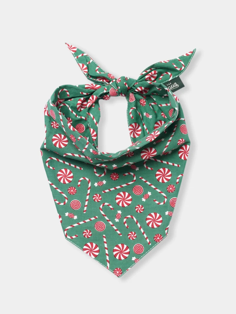 Bandana d'Hiver pour chien - Sugar 🎅🍬 - The Paws