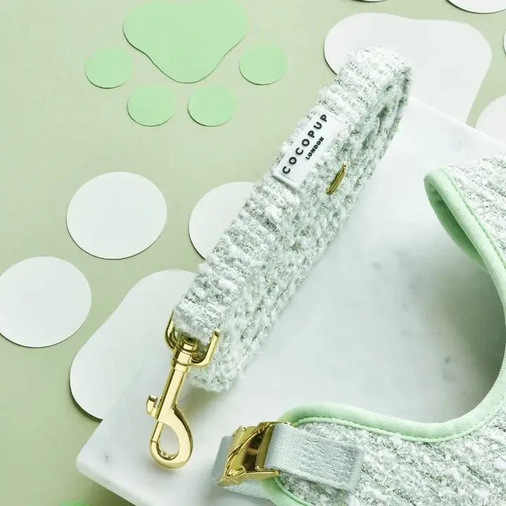 Laisse pour chien – Tweed Texturé Matcha