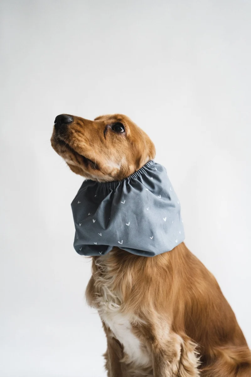 Snood Denim Hearts pour chiens – Élégance et confort bio