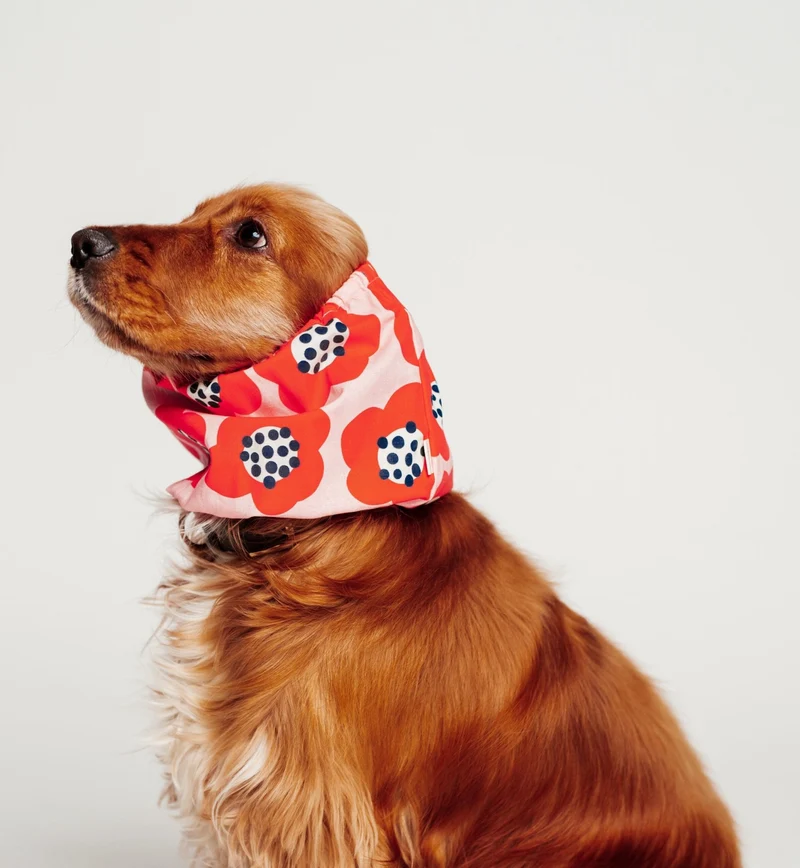 Snood Red Flowers pour chiens - Protection florale et élégante