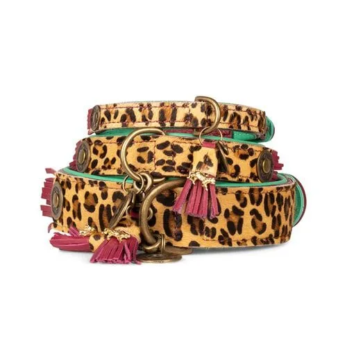 Collier pour chien Lou Lou avec imprimé léopard