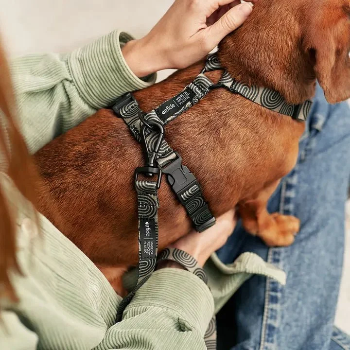 Harnais pour chien en Y Vert Kaki et Design Japonais