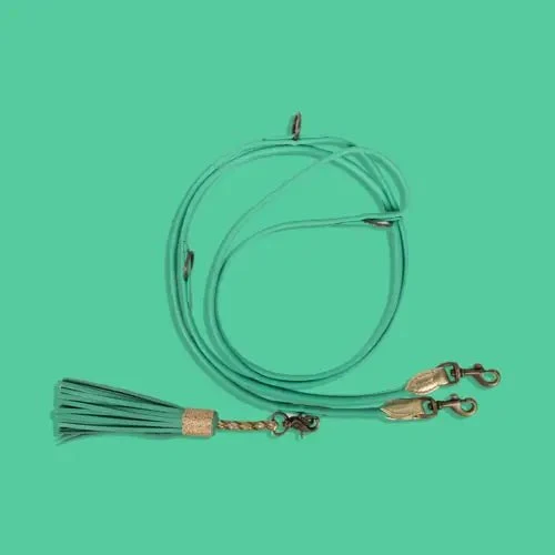 Laisse fine en cuir extra-longue pour chien - DWAM - Couleurs vibrantes