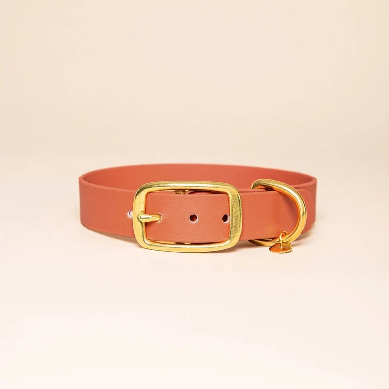 Collier pour chien imperméable "L'aventurier" Fidèle Paris - Terracotta