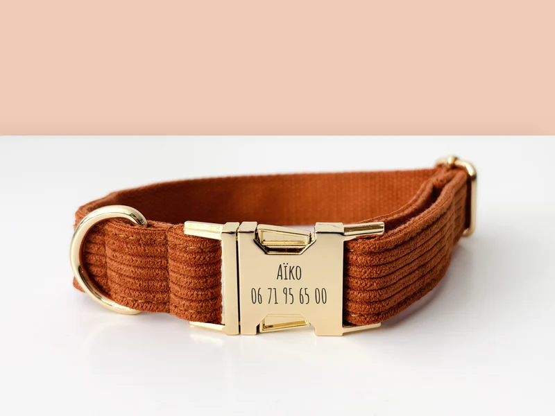 Collier Chien Personnalisé Velours Côtelé Terre Battue