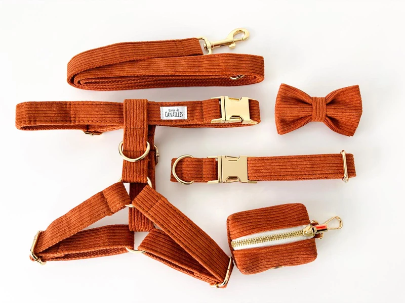 Kit Complet Chien Personnalisé Velours Côtelé Terre Battue