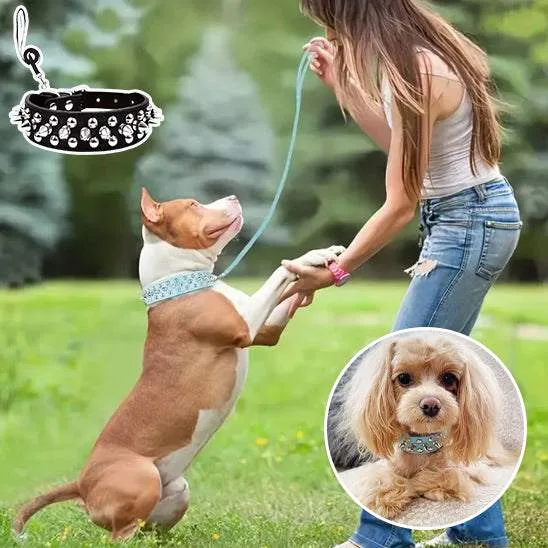 Collier Chien / cuir NailRock ™