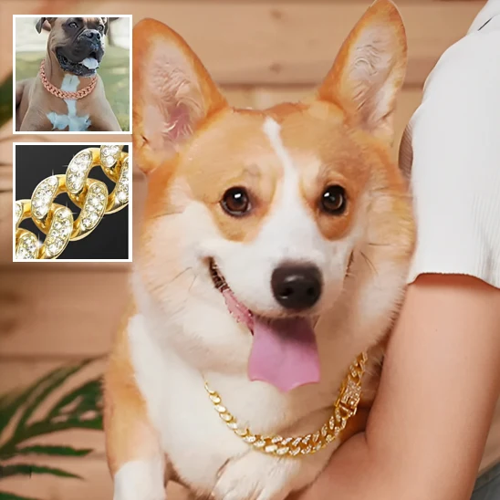 Collier pour Chien Luxe / DogStyle™