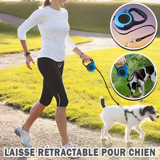 Laisses pour chien rétractables/ QuikClik™