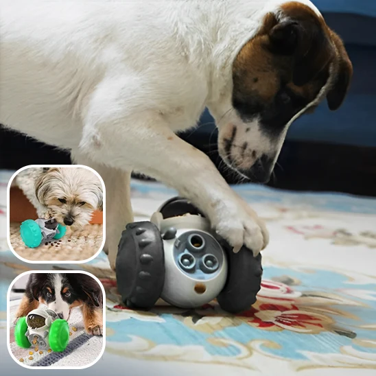 Jouets pour Chien petit robot/ SmartRobot™