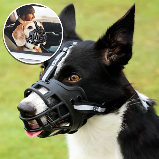 Muselière pour Chien /AiryMuzzle™