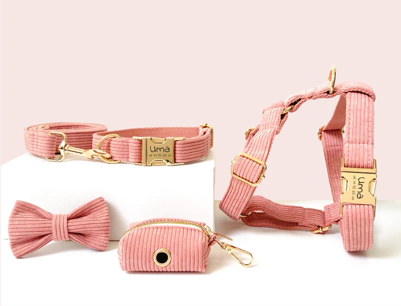 Kit Complet Chien Personnalisé Velours Côtelé Rose