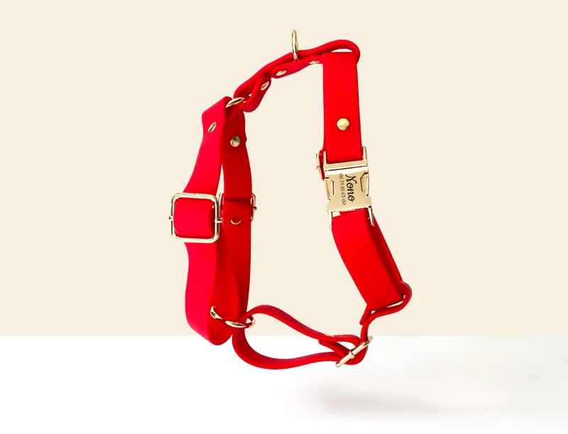 Harnais Chien Personnalisé Biothane Rouge