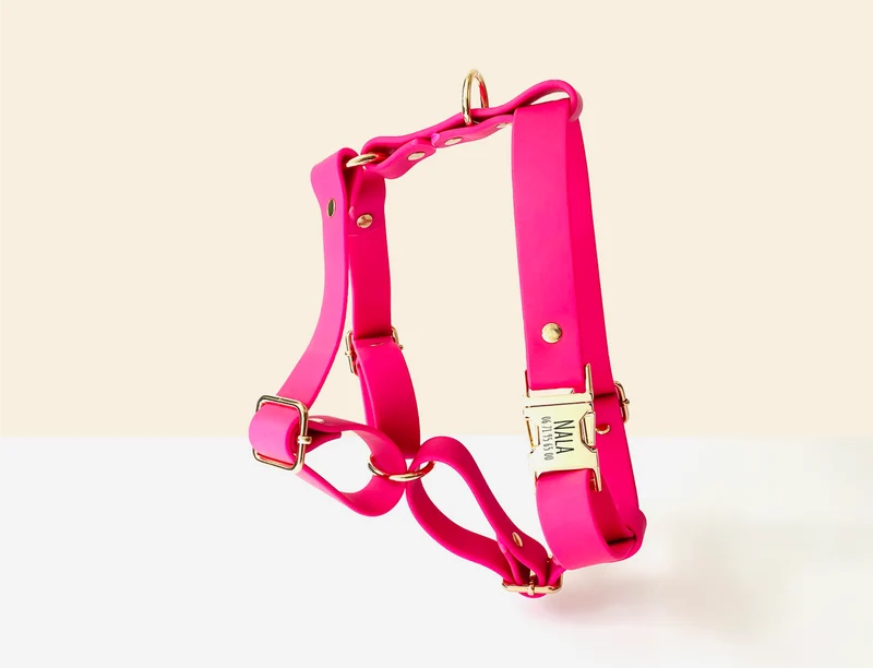 Harnais Chien Personnalisé Biothane Rose