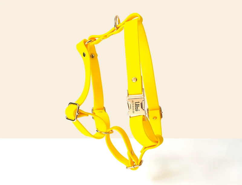 Harnais Chien Personnalisé Biothane Jaune