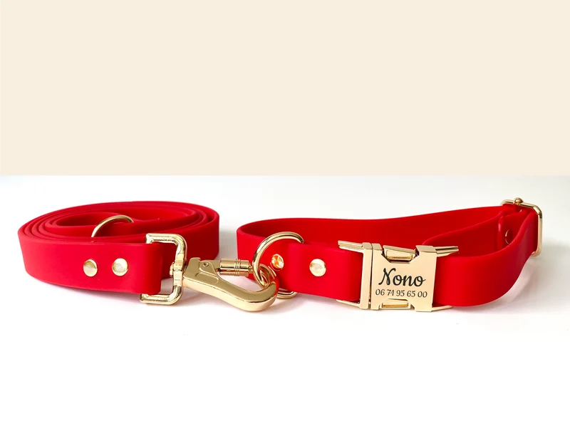 Laisse Chien Biothane Rouge