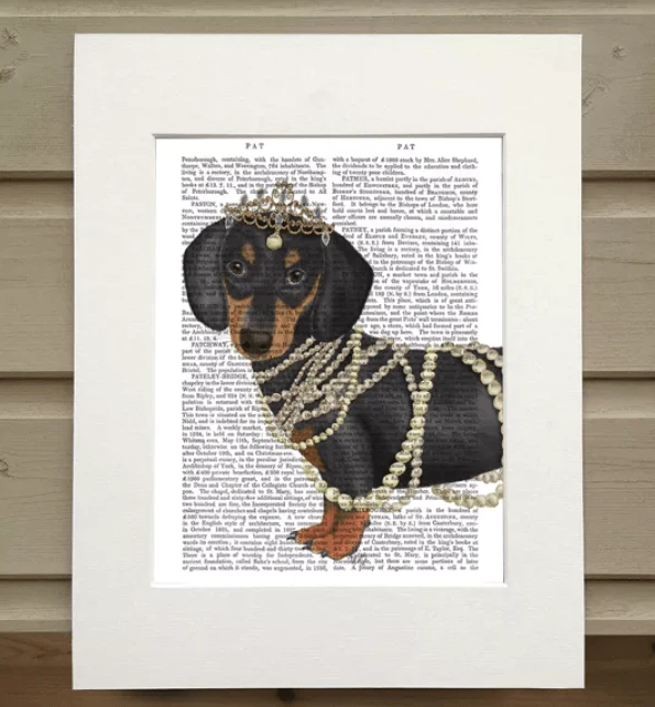 Teckel à bijoux - Illustration d'art pour décoration murale