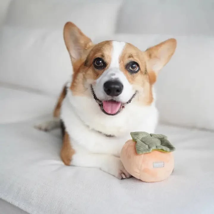 Jeu d'Occupation et de Fouille pour Chien - Kaki
