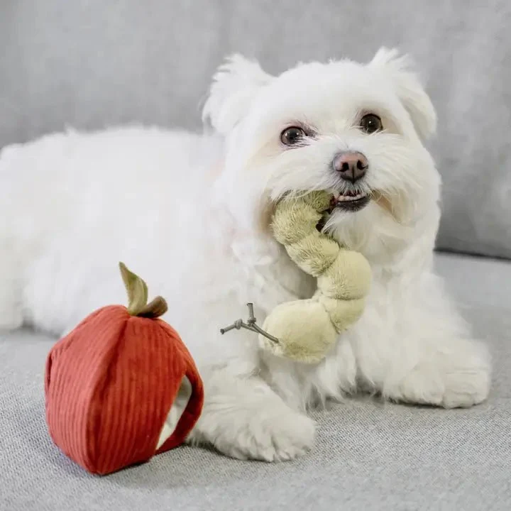Jeu d'Occupation pour Chien - Pomme et vers de terre 🍎