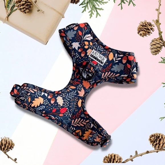 Harnais en H Fall in Love – automne chic & confort