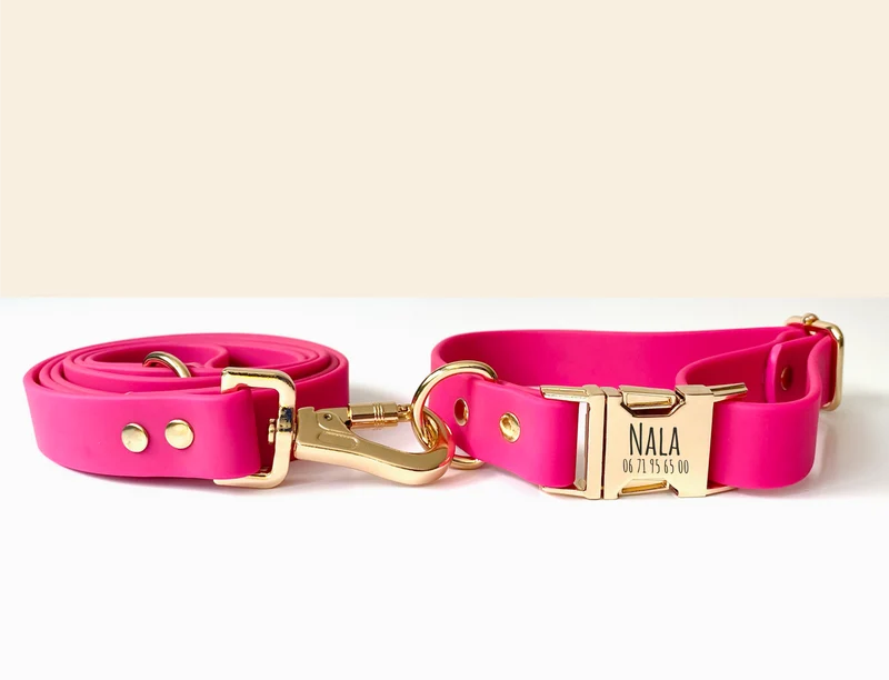 Laisse Chien Biothane Rose