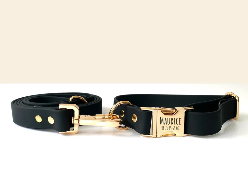 Laisse Chien Biothane Noir