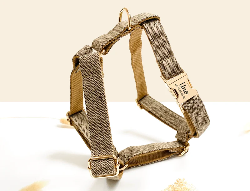 Harnais Chien Personnalisé Chevron Noisette