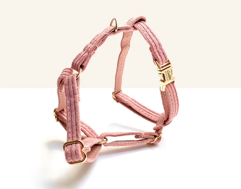 Harnais Chat Personnalisé Velours Côtelé Rose