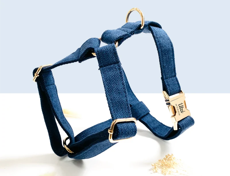 Harnais Chien Personnalisé Chevron Marine
