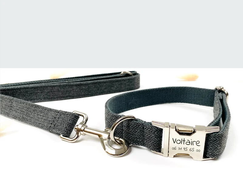 Laisse Chien Chevron Gris