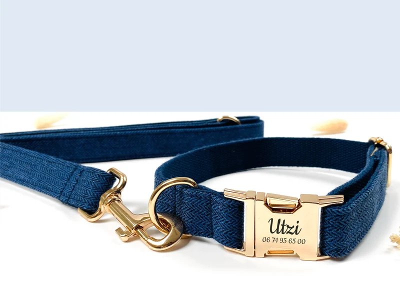 Laisse Chien Chevron Marine