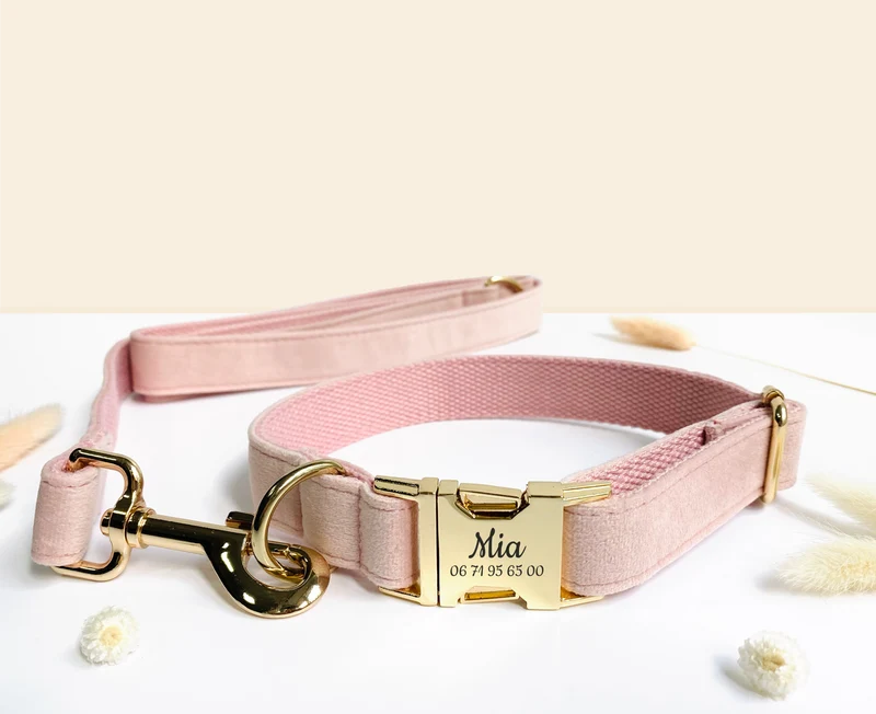 Laisse Chien Velours Lisse Rose