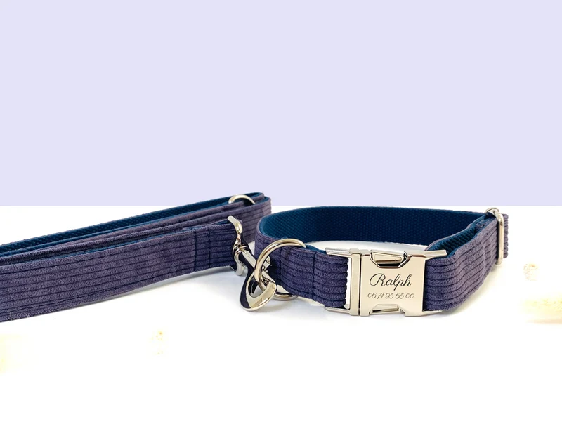 Laisse Chien Velours Côtelé Lavande