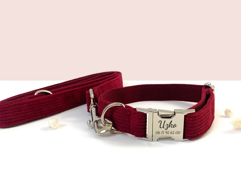 Laisse Chien Velours Côtelé Bordeaux