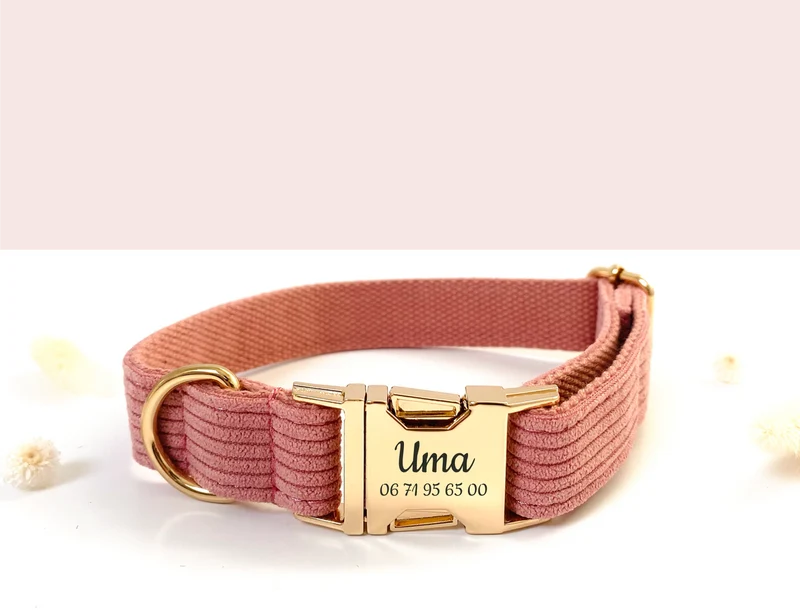 Collier Chien Personnalisé Velours Côtelé Rose