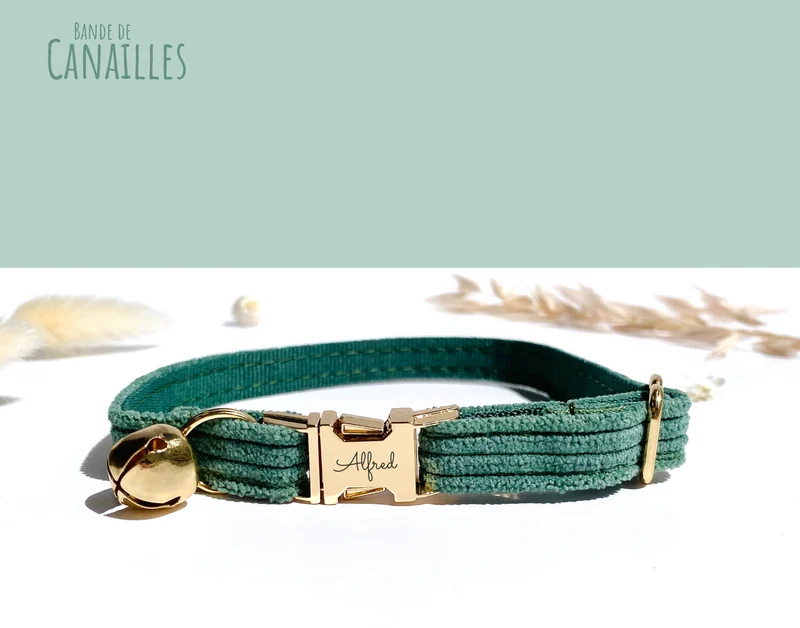 Collier Chat Personnalisé Velours Côtelé Vert