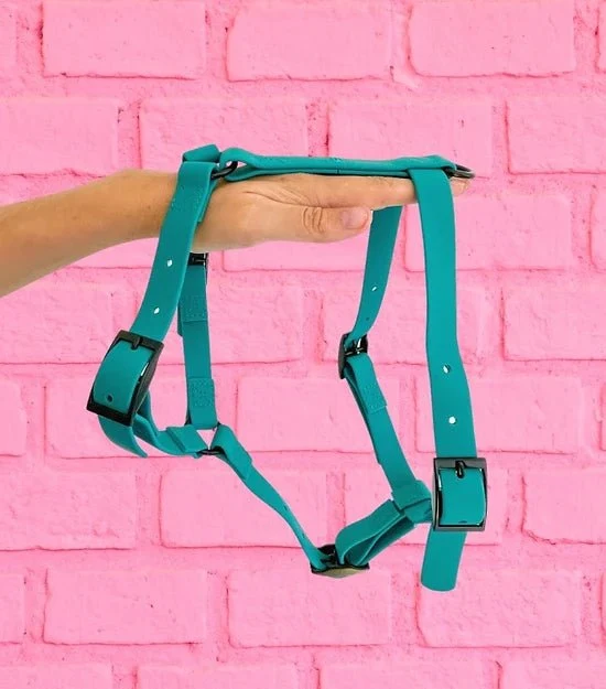 Harnais en Y imperméable - Gummy Teal