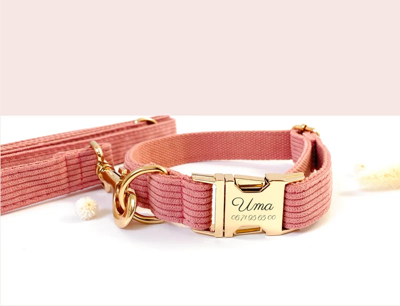 Laisse Chien Velours Côtelé Rose