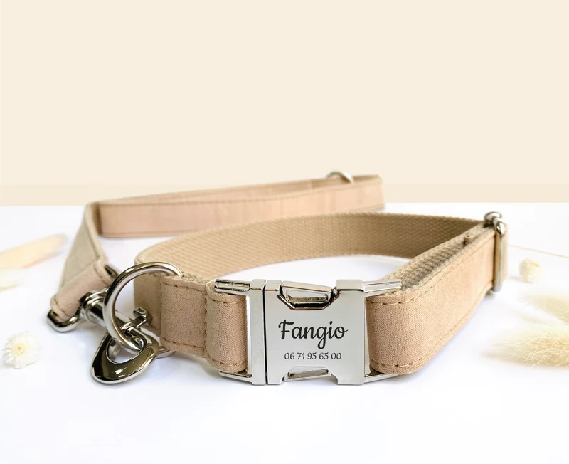 Laisse Chien Coton Beige