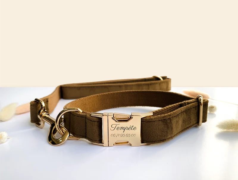 Laisse Chien Velours Lisse Marron