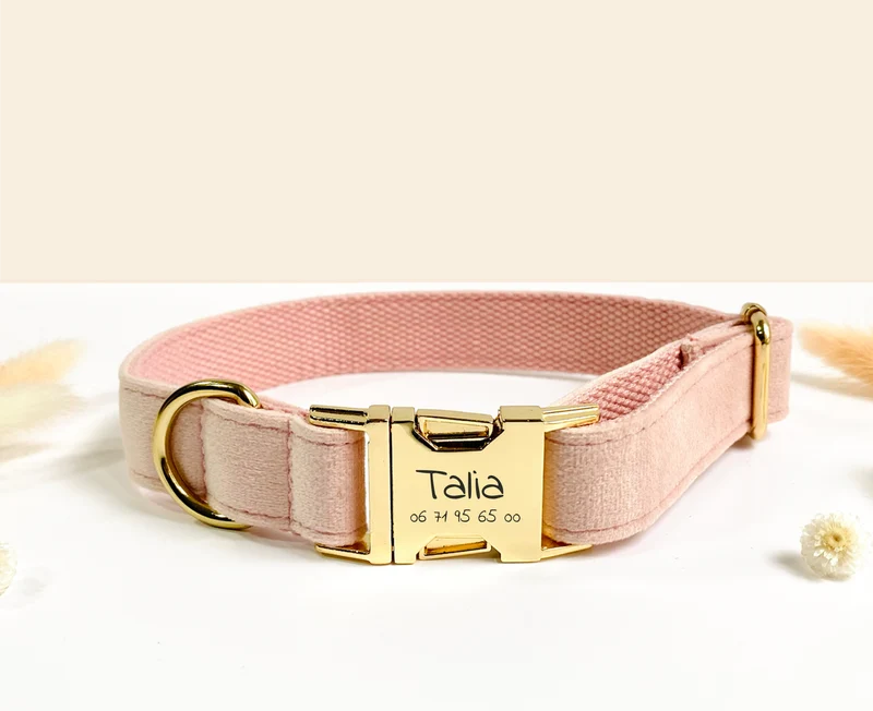 Collier Chien Personnalisé Velours Lisse Rose