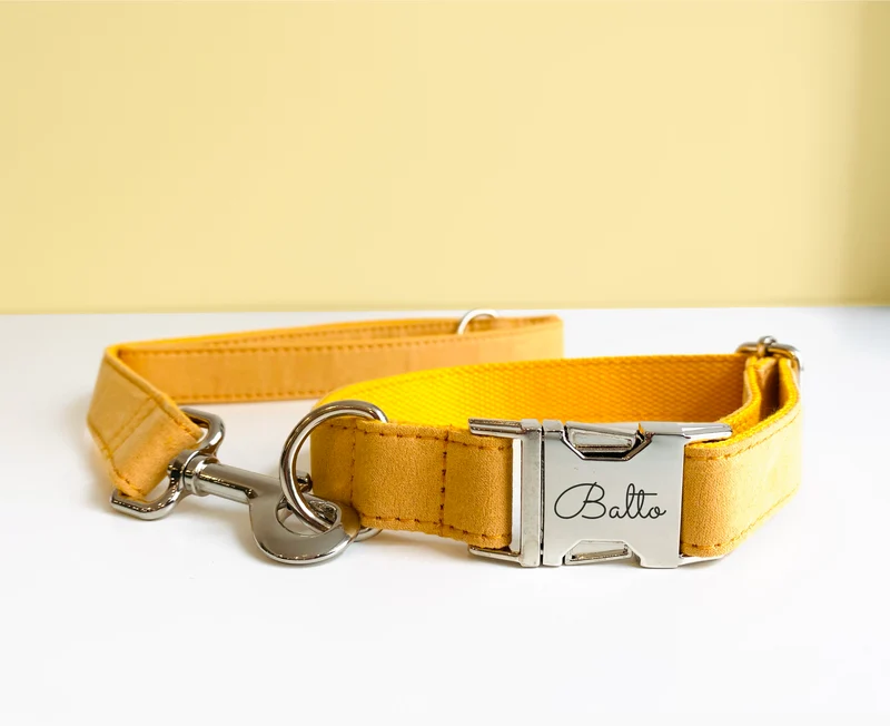 Laisse Chien Coton Jaune