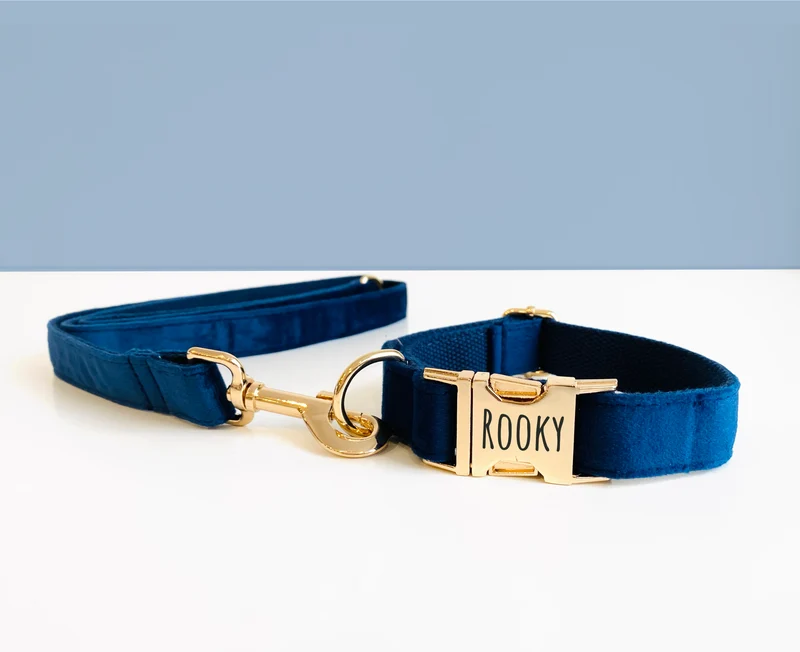 Laisse Chien Velours Lisse Bleu Marine