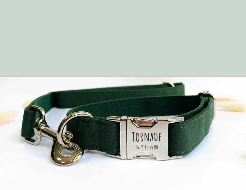 Laisse Chien Coton Vert Sapin
