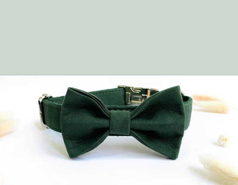 Noeud Papillon Coton Vert Sapin